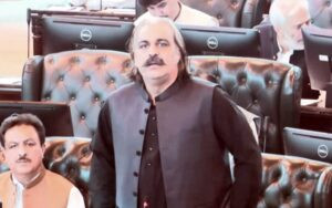 Ali Amin Gandapur